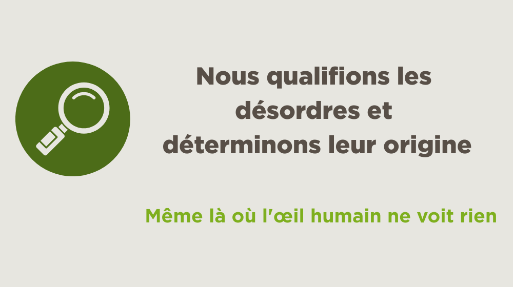 Qualification des désordres